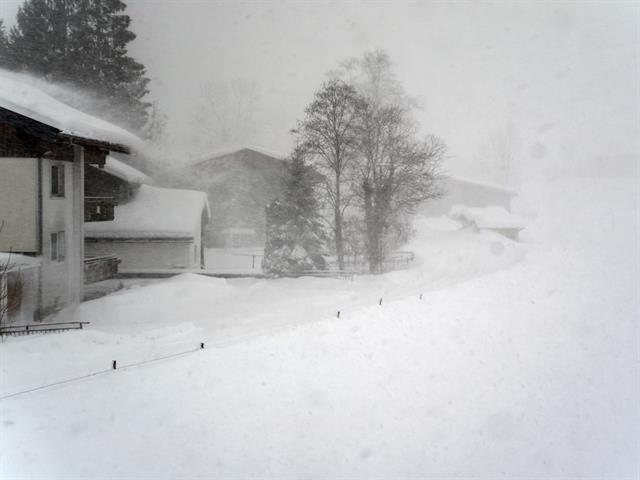 Winterbilder002