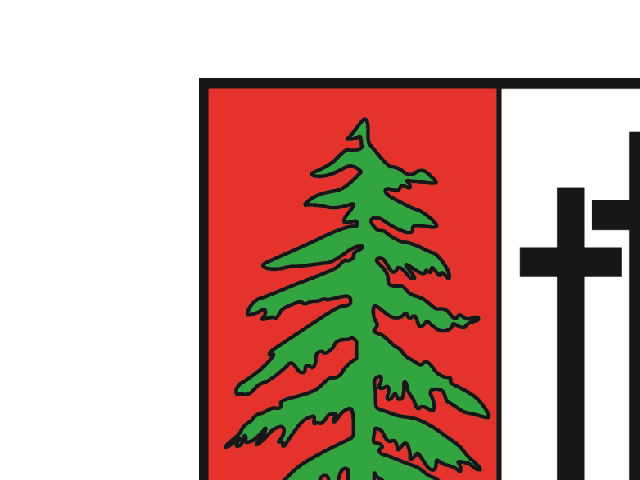 Wappen Gemeinde Mellau